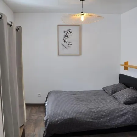 Apartman Le Du Tanneur Selestadien Sélestat