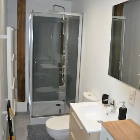 Le Du Tanneur Selestadien Appartement