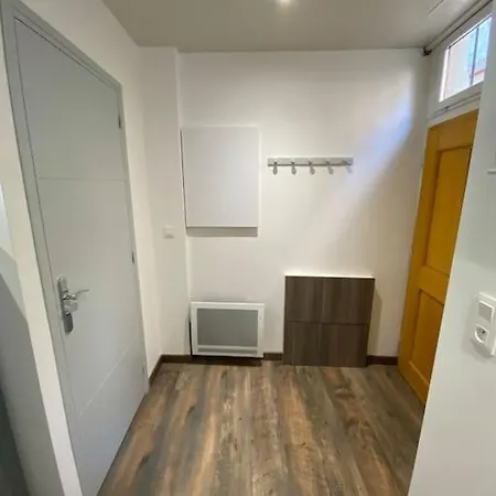 Appartement Le Du Tanneur Selestadien Sélestat