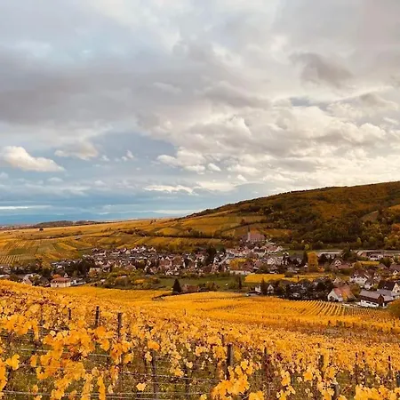 Appartement Le Du Tanneur Selestadien *