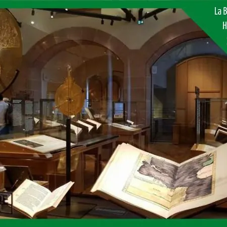 Le Du Tanneur Selestadien Appartement *