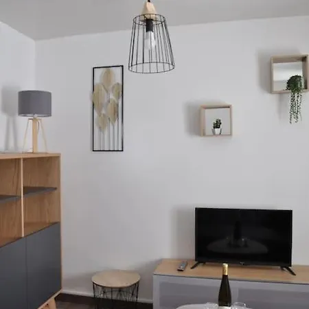 Le Du Tanneur Selestadien Appartement *