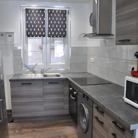 Appartement Le Du Tanneur Selestadien