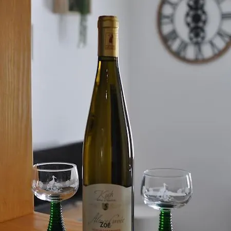 Apartman Le Du Tanneur Selestadien *