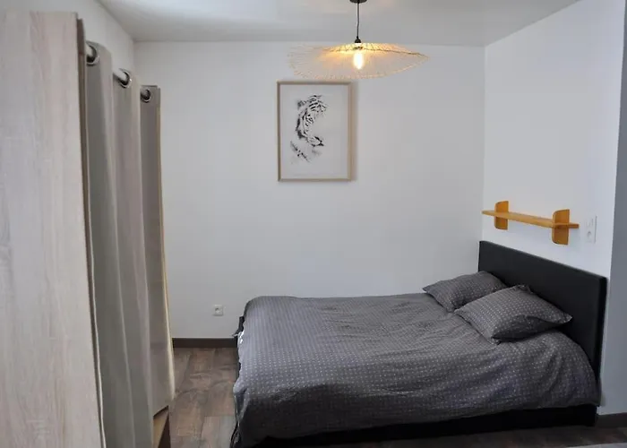 Apartman Le Du Tanneur Selestadien Sélestat