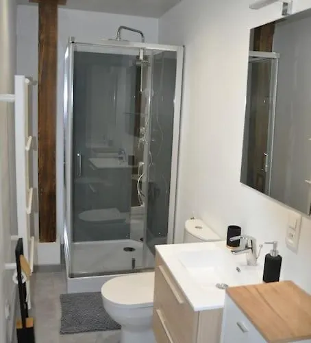 Le Du Tanneur Selestadien Apartman