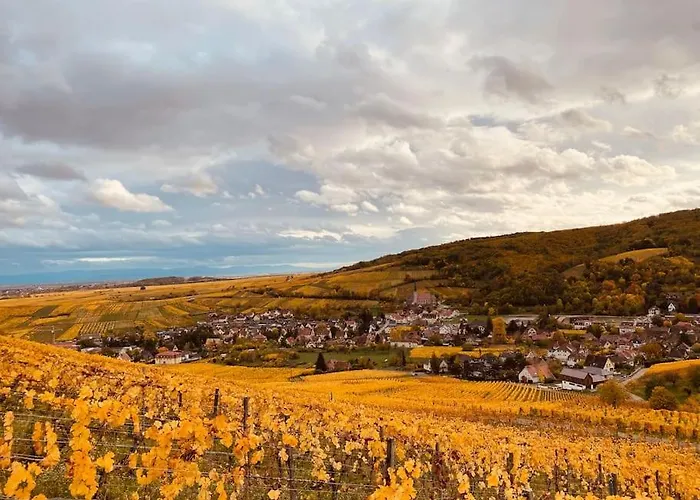 Apartman Le Du Tanneur Selestadien *