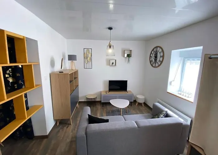 Apartman Le Du Tanneur Selestadien Sélestat
