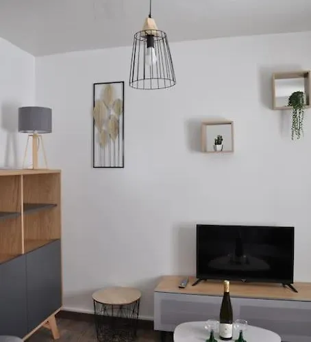 Le Du Tanneur Selestadien Apartman *