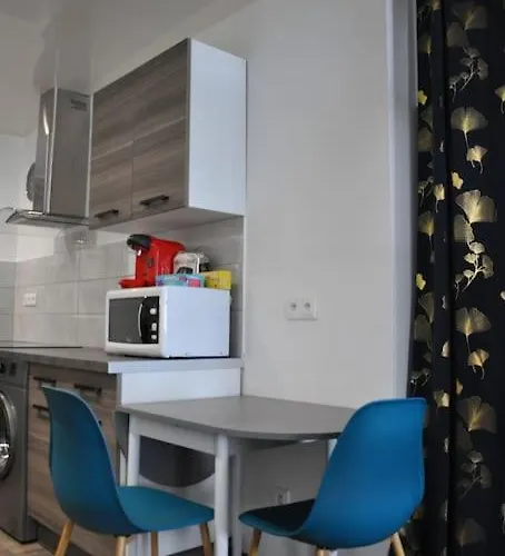 Apartman Le Du Tanneur Selestadien