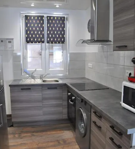 Apartman Le Du Tanneur Selestadien