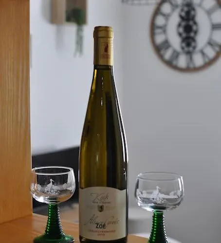 Apartman Le Du Tanneur Selestadien *